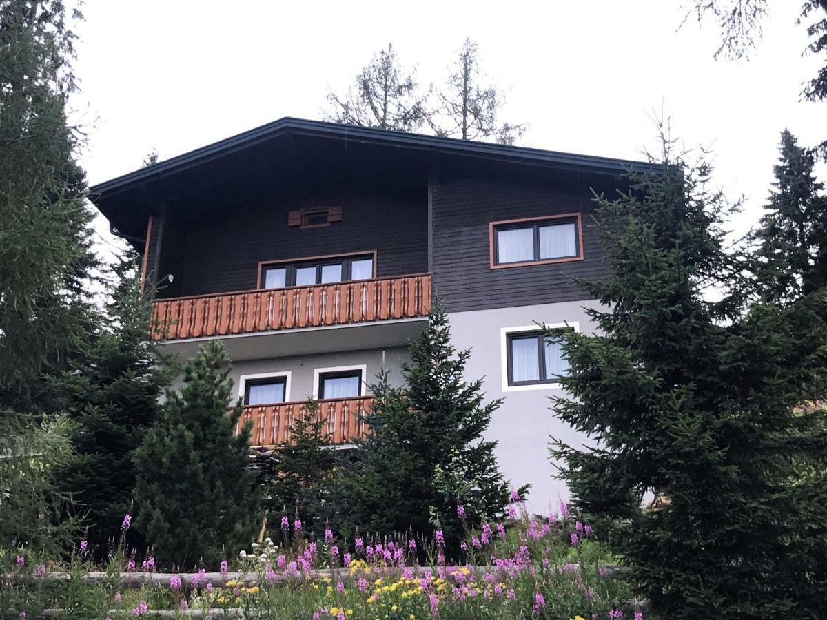 Ferienhaus Bergfee Klippitztorl Ngoại thất bức ảnh