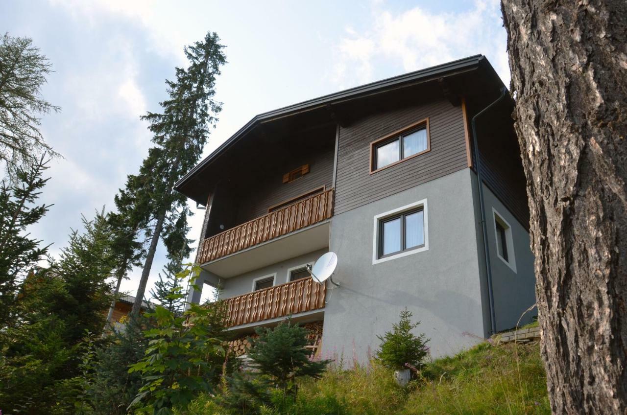 Ferienhaus Bergfee Klippitztorl Ngoại thất bức ảnh