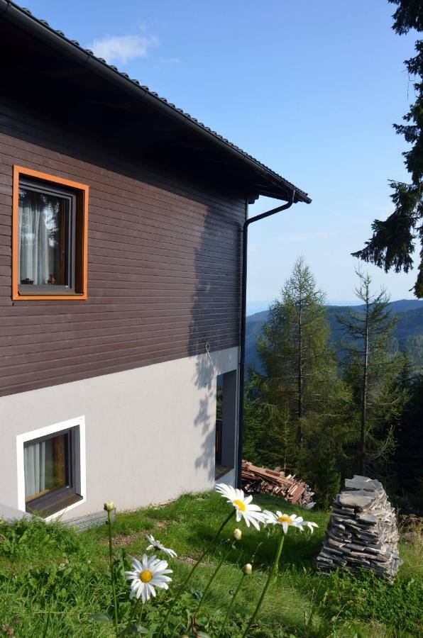 Ferienhaus Bergfee Klippitztorl Ngoại thất bức ảnh